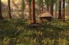 The forest 0.43 system requirements.  Buy The Forest - license key for Steam.  For a comfortable game