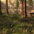 Persyaratan sistem 0,43 hutan.  Beli Hutan - kunci lisensi untuk Steam.  Untuk permainan yang nyaman